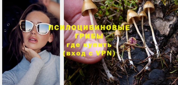 эйфоретик Нягань