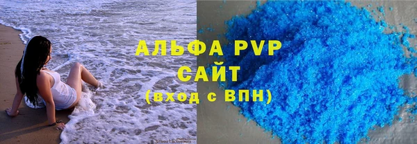 стафф Новодвинск