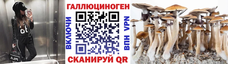 Купить  Аткарск  Псилоцибиновые грибы мухоморы 